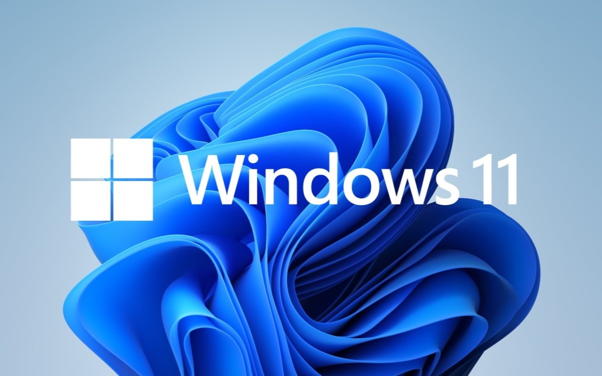 Windows 11