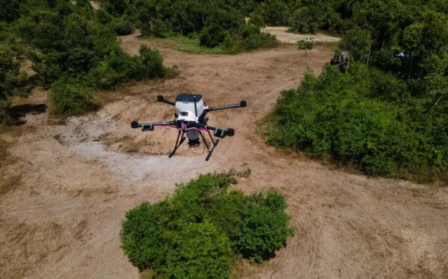 Rio de Janeiro inicia reflorestamento com drones