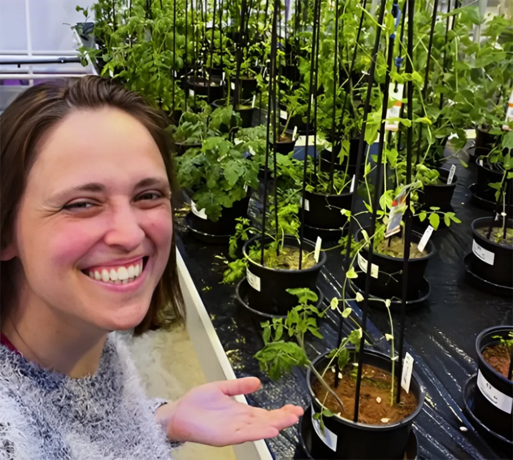 Pesquisadores brasileiros criar plantas fora da Terra