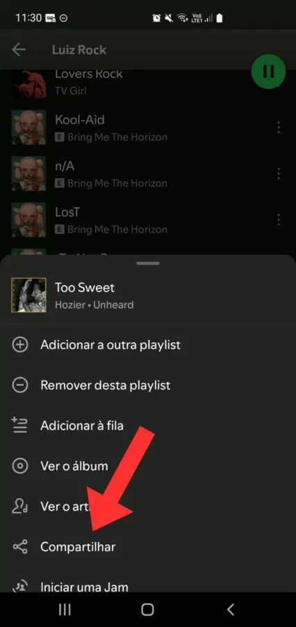 Como colocar música no Status do WhatsApp