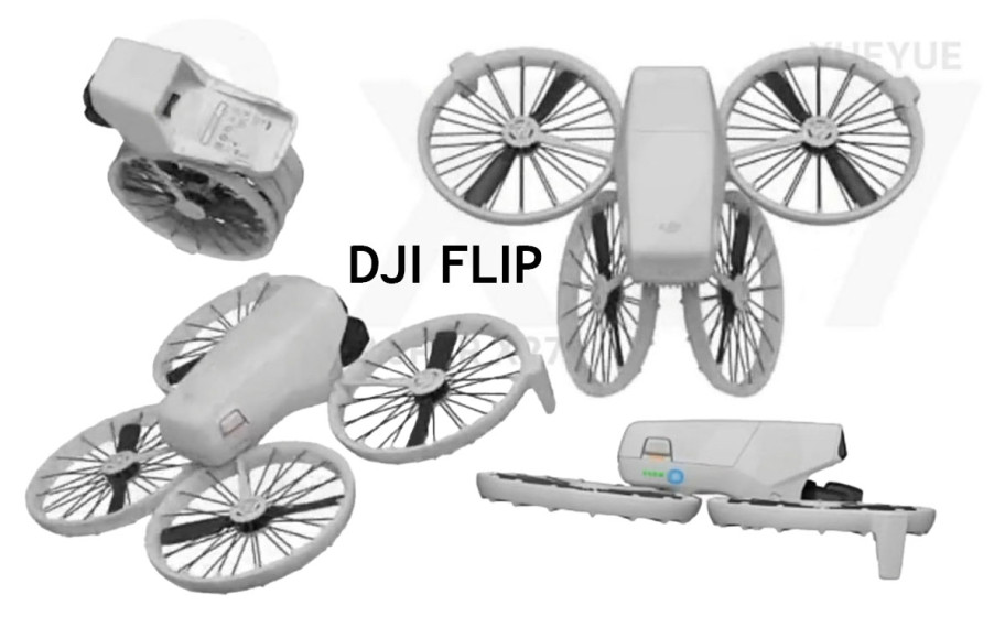 DJI Flip Leaked